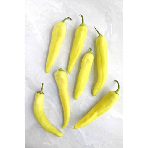 Sweet Banana Pepper (1)
