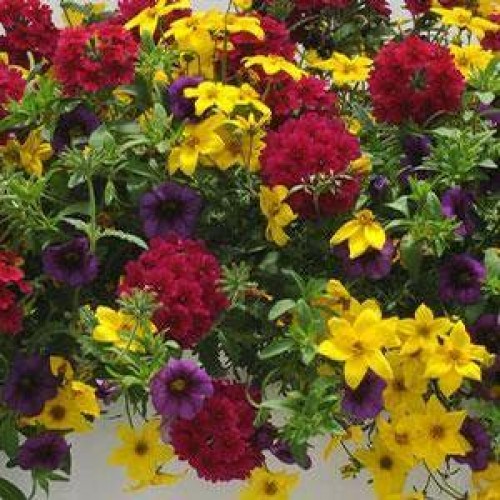 Dean's Sunshiny Day Basket