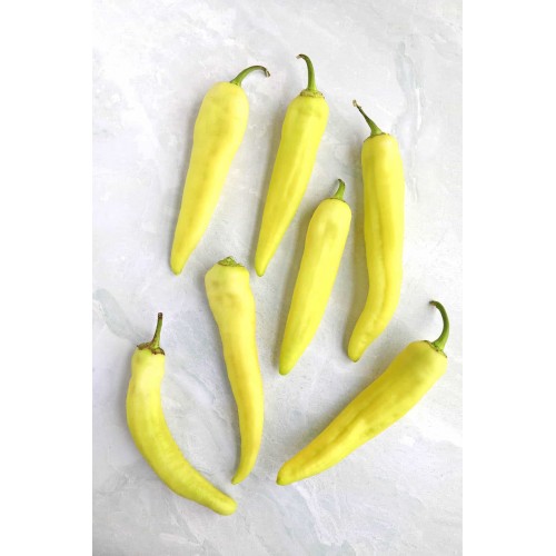 Sweet Banana Pepper (1)